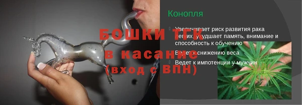 гидра Абаза