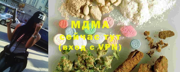 шишки Няндома