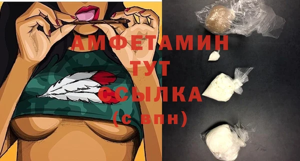 гидра Абаза