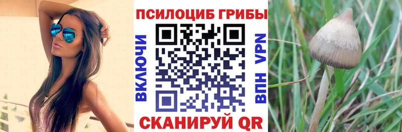 Галлюциногенные грибы мухоморы  гидра   Людиново 