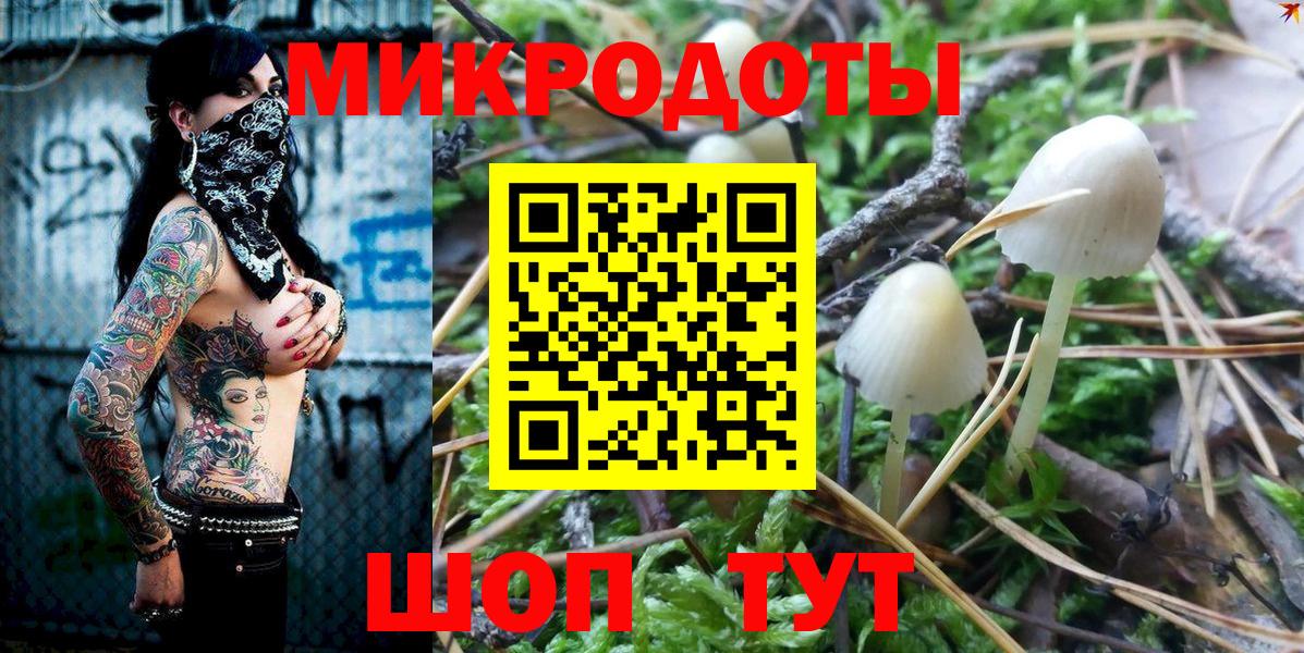 Галлюциногенные грибы Cubensis  Вход с VPN  Людиново 