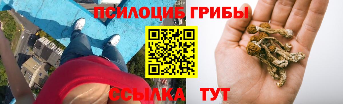 Галлюциногенные грибы мухоморы Людиново